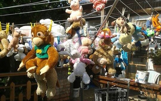 Clean teddies hanging out to dry