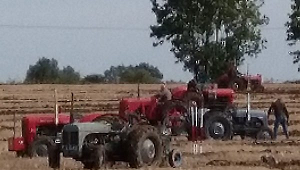Tractors on the stubble field