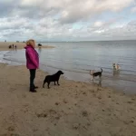 Anna Dutton on the beach withher dogs